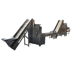 Produktionslinie für geschälten Knoblauch