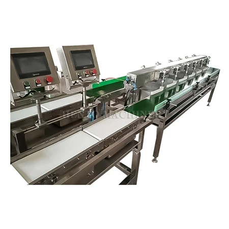 fish sorting machine